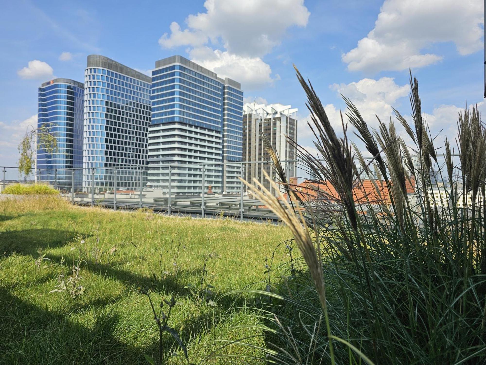 Urban Apartments Premium, Opolska 10 No 91, Free Garage, Self Check-In Katowice Exterior foto